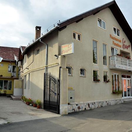 Pensiunea La Palaguta Baia Mare Exterior photo