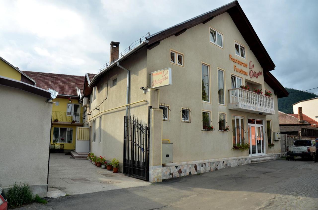 Pensiunea La Palaguta Baia Mare Exterior photo