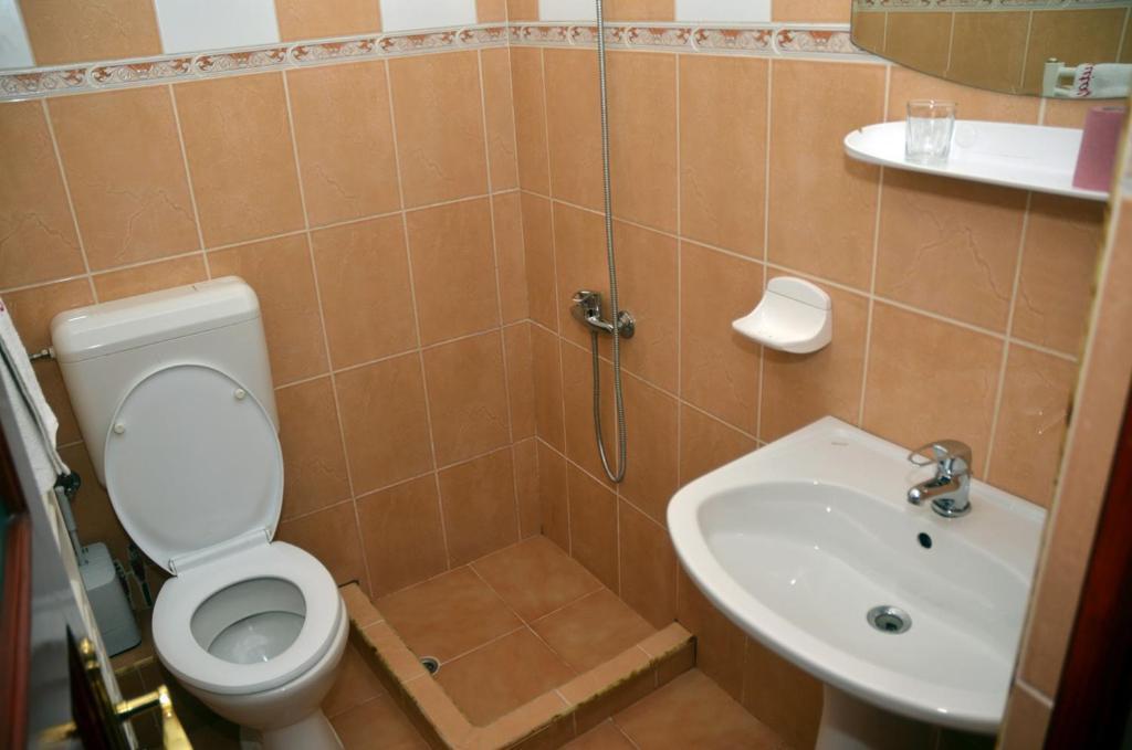 Pensiunea La Palaguta Baia Mare Room photo