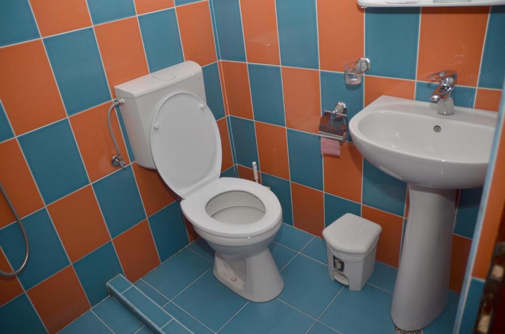Pensiunea La Palaguta Baia Mare Room photo